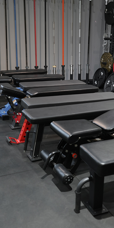 C4D Dual Function Series