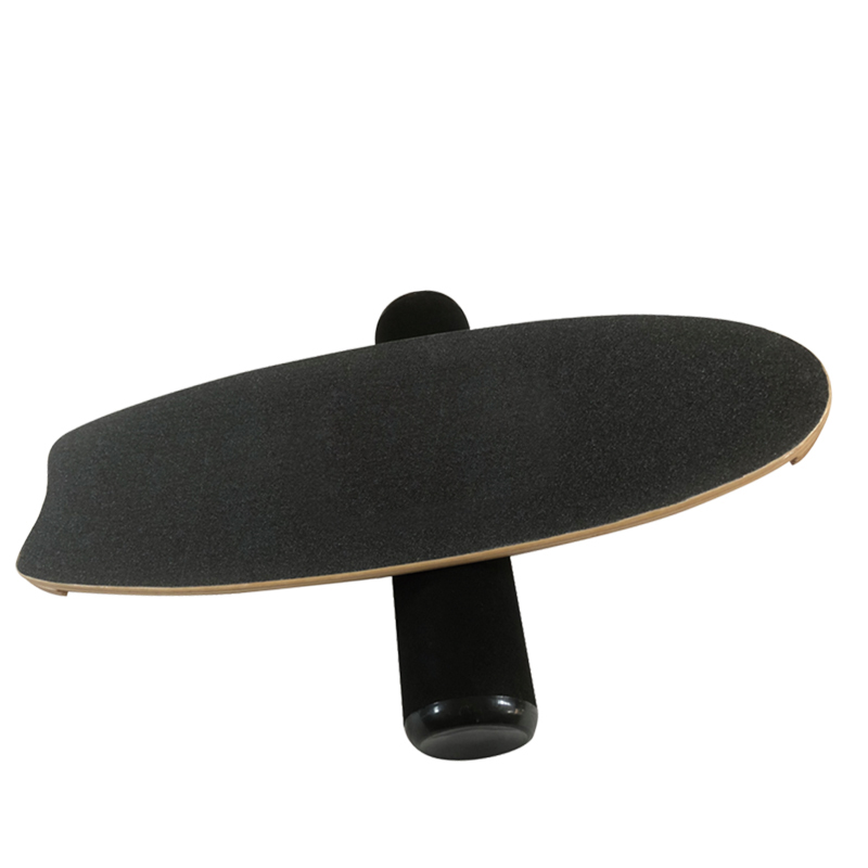 Custom Shaped Balance Trainer-img3
