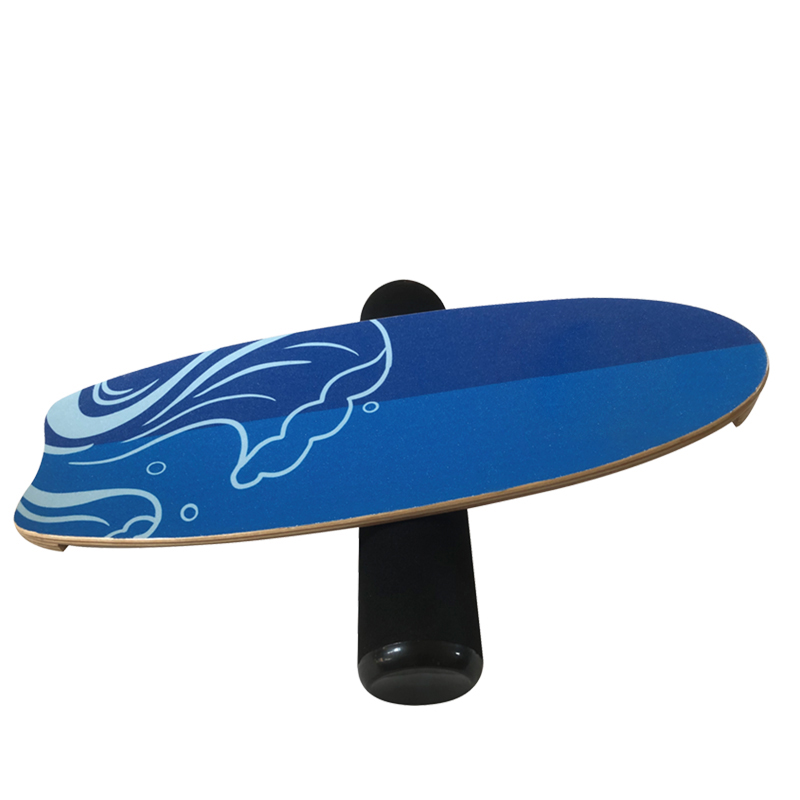 Custom Shaped Balance Trainer-img2