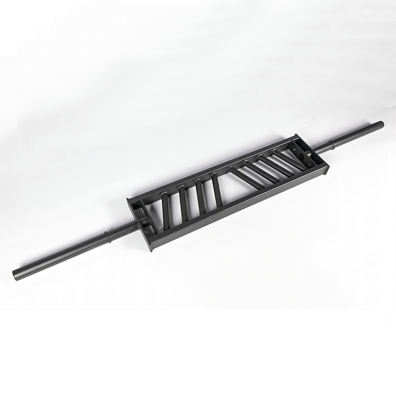 Straight Swiss Bar-img5