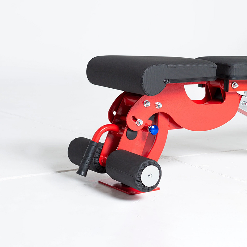 Professional Bench Press Powerlifting-img5