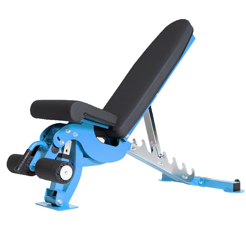 Professional Bench Press Powerlifting-img4