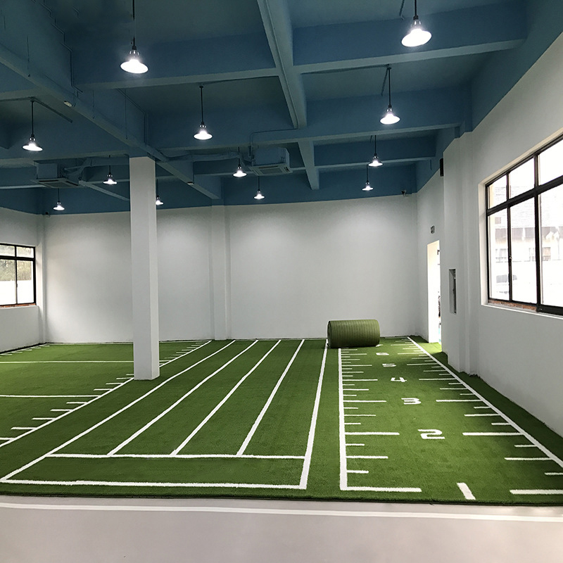 Indoor Sled Track Turf-img2