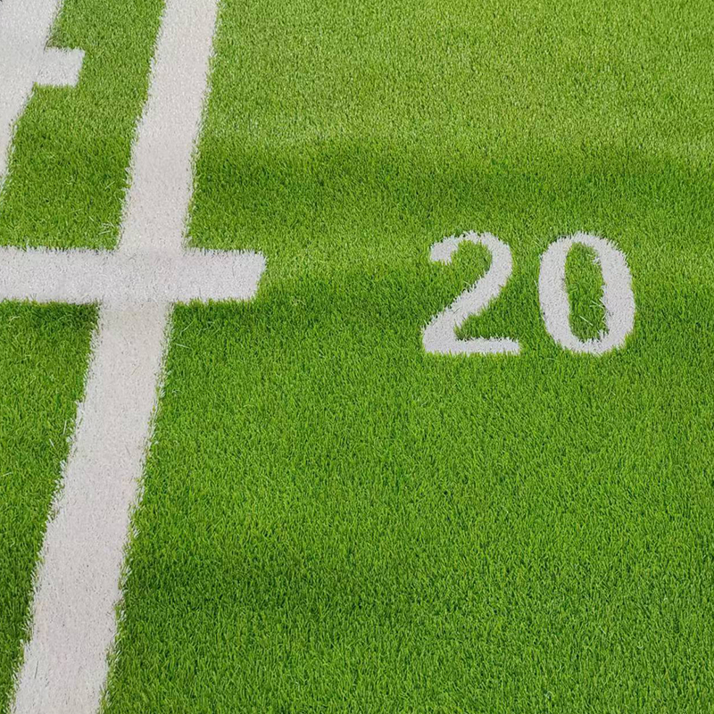 Indoor Sled Track Turf-img3