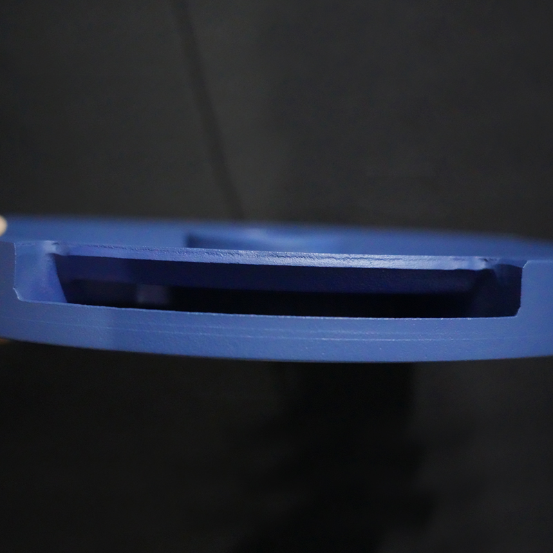 New Design Cast Iron Weight Plates-img3