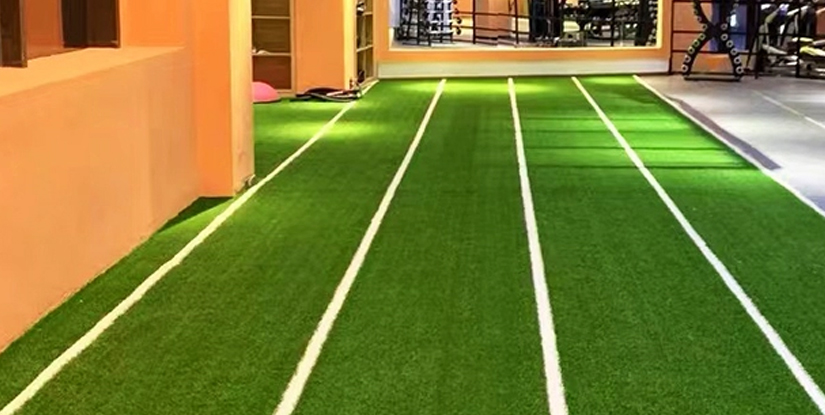 The Role of Gym Equipment Vendors in Facility Launches