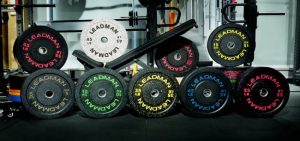 what are gym disc weights