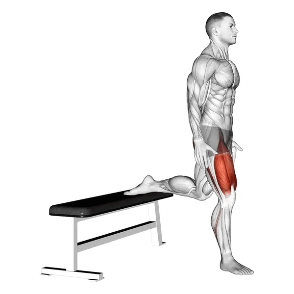 lower glute exercises bulgarian split squats