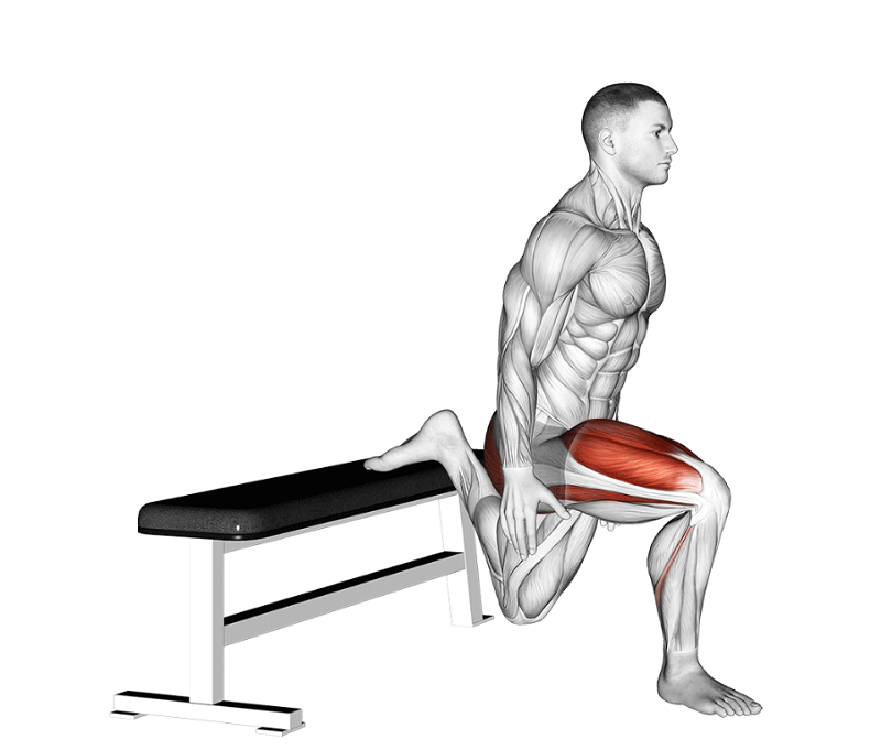 upper glute exercises bulgarian split squats