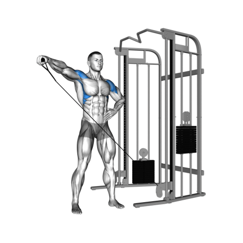 exercise for middle delts cable lateral raises