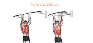 chin up vs pull up