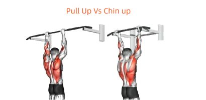 chin up vs pull up
