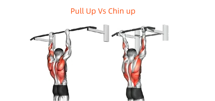 chin up vs pull up