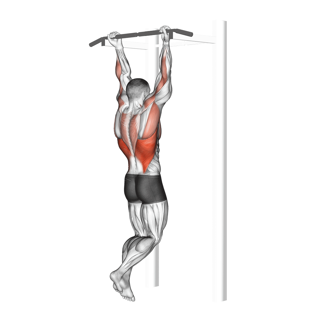 chin up vs pull up chin up