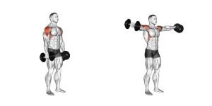 dumbbell lateral raises