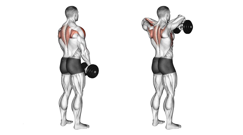 exercise for middle delts dumbbell upright rows