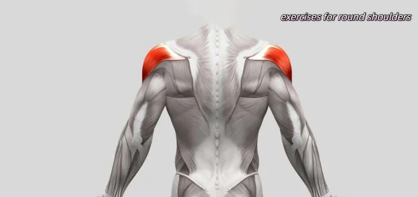 exercise for middle delts