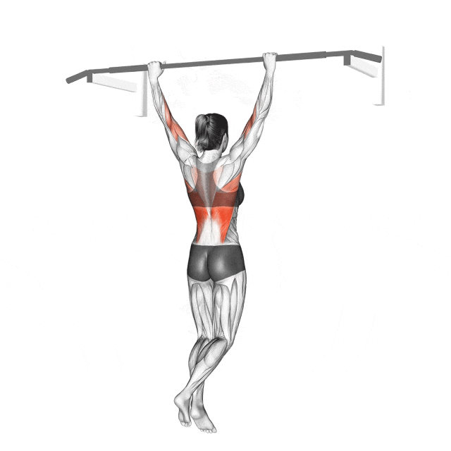 female pull-ups