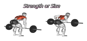 how to train for strength not size