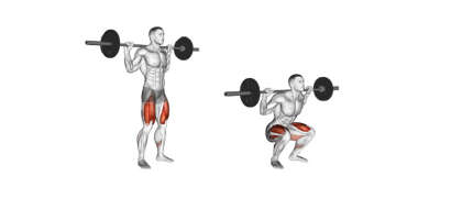 leg exercise leg exercises without squats