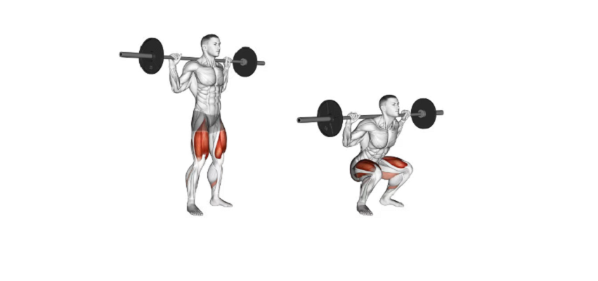 leg exercise leg exercises without squats