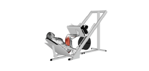leg press (single leg if possible)