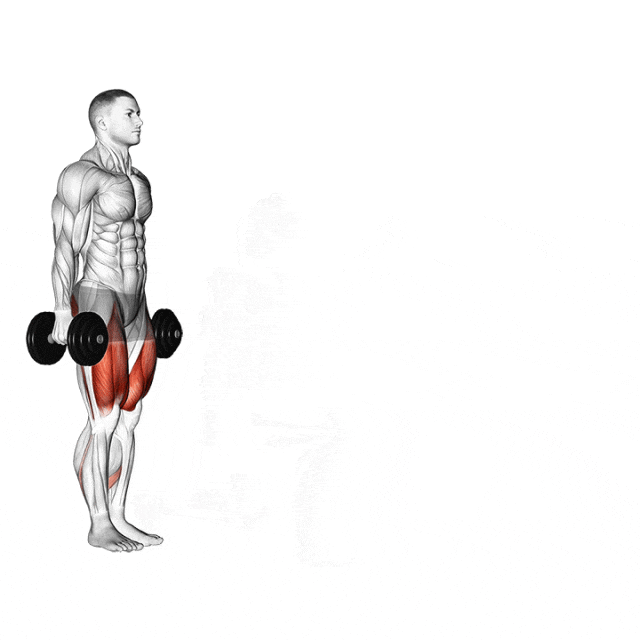 lunges (with bodyweight or dumbbells)