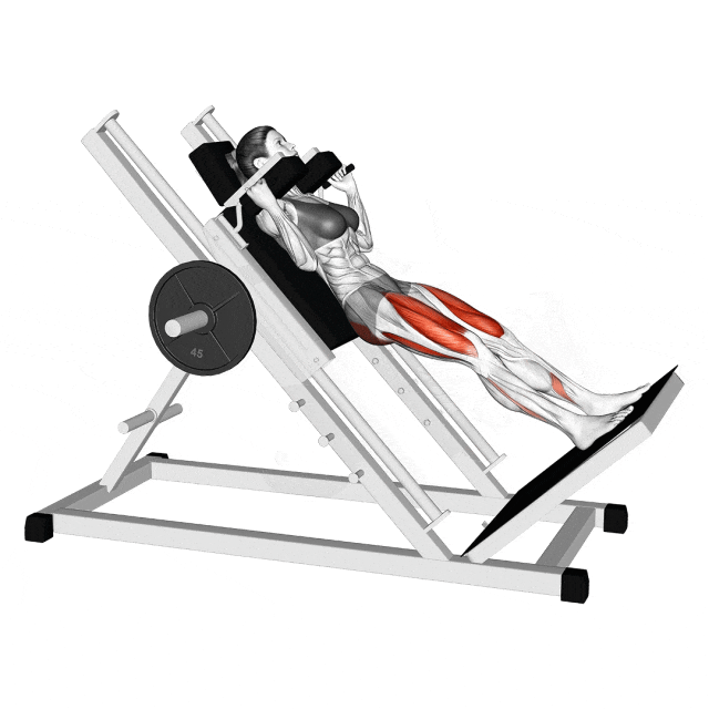 machine hack squat