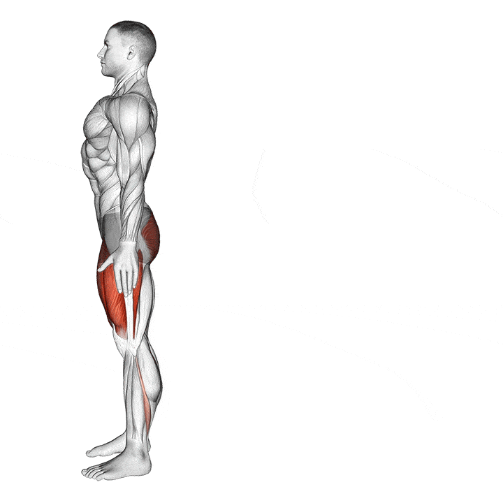 reverse lunges