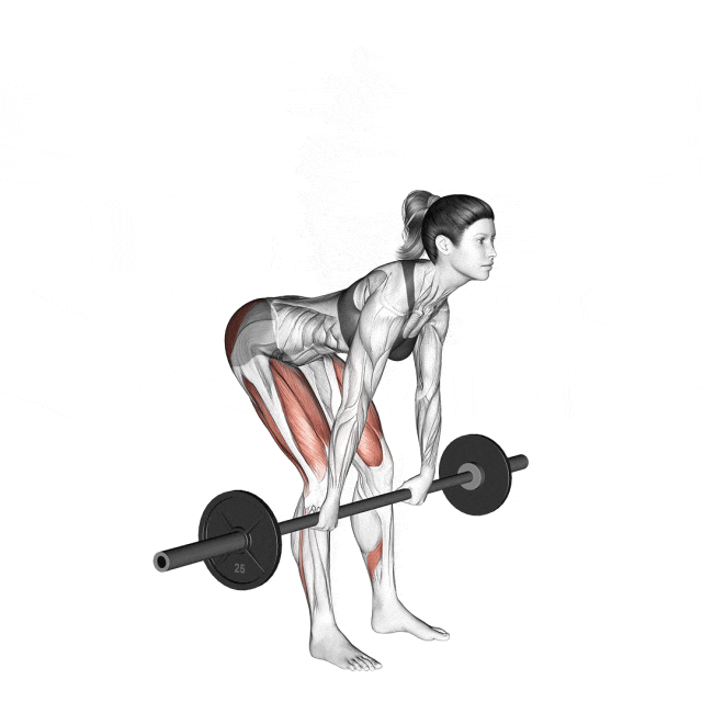 romanian deadlift