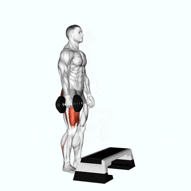 step exercise [borrowing a box]