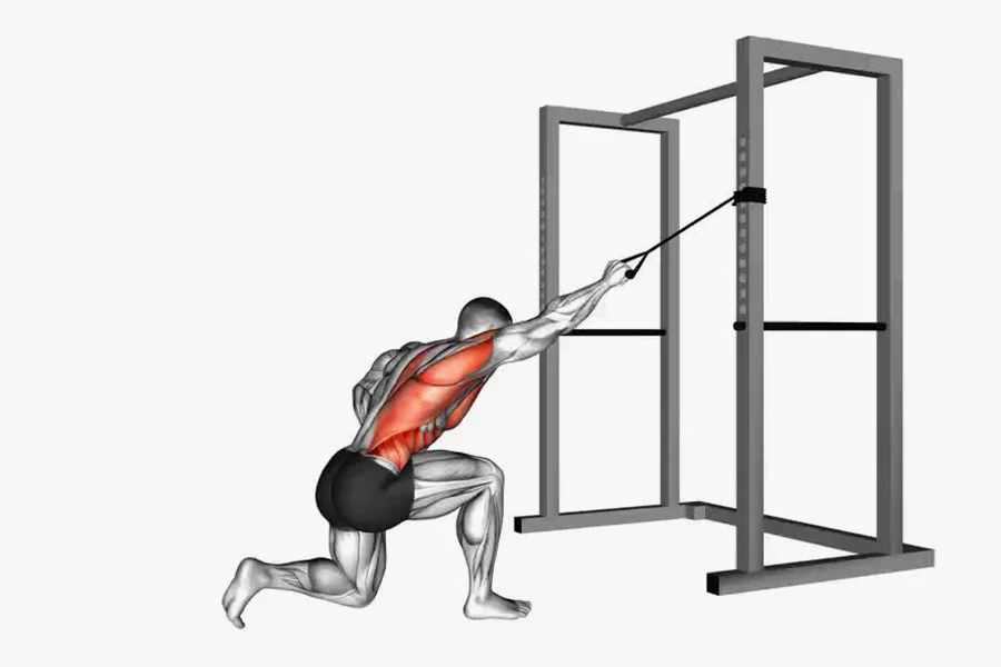 8 Best Lat Exercises for A Strong And Wide Backg