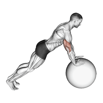 Advanced stability ball pushups