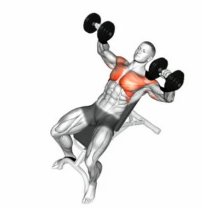 Alternating Incline Press 3D