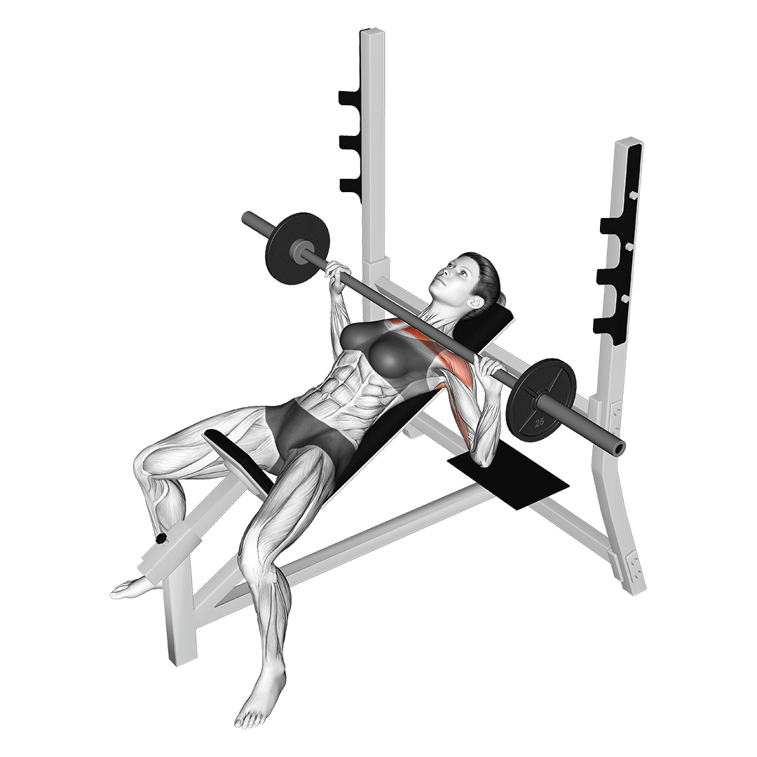 Barbell Incline Press