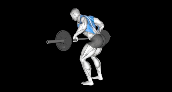 Bent Over Row