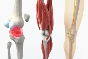 Best Aerobic Exercise for Bad Knees