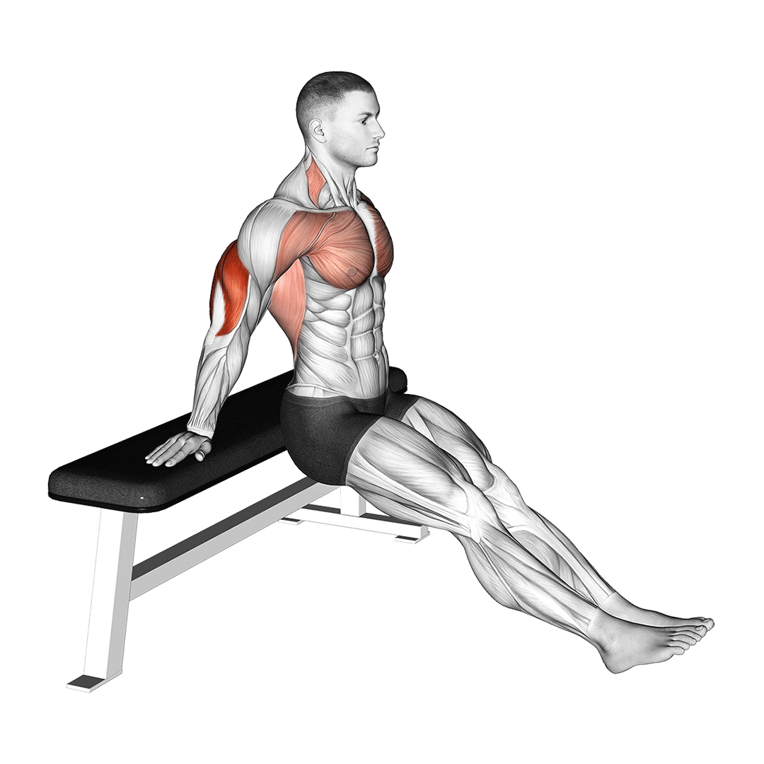 Bodyweight Dips