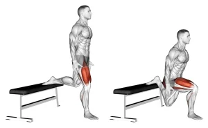 Bulgarian Split Squat 3 sets x 10 reps
