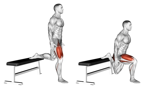 Bulgarian Split Squat 3 sets x 10 reps