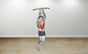 Close Grip Pull-Ups for Serious Bicep Gains