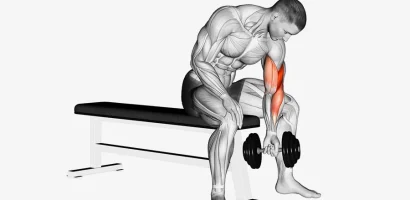 Concentration curls - Fitness Women Biceps Exercises Building Strength and Definition