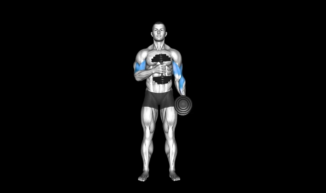 Cross Body Hammer Curl