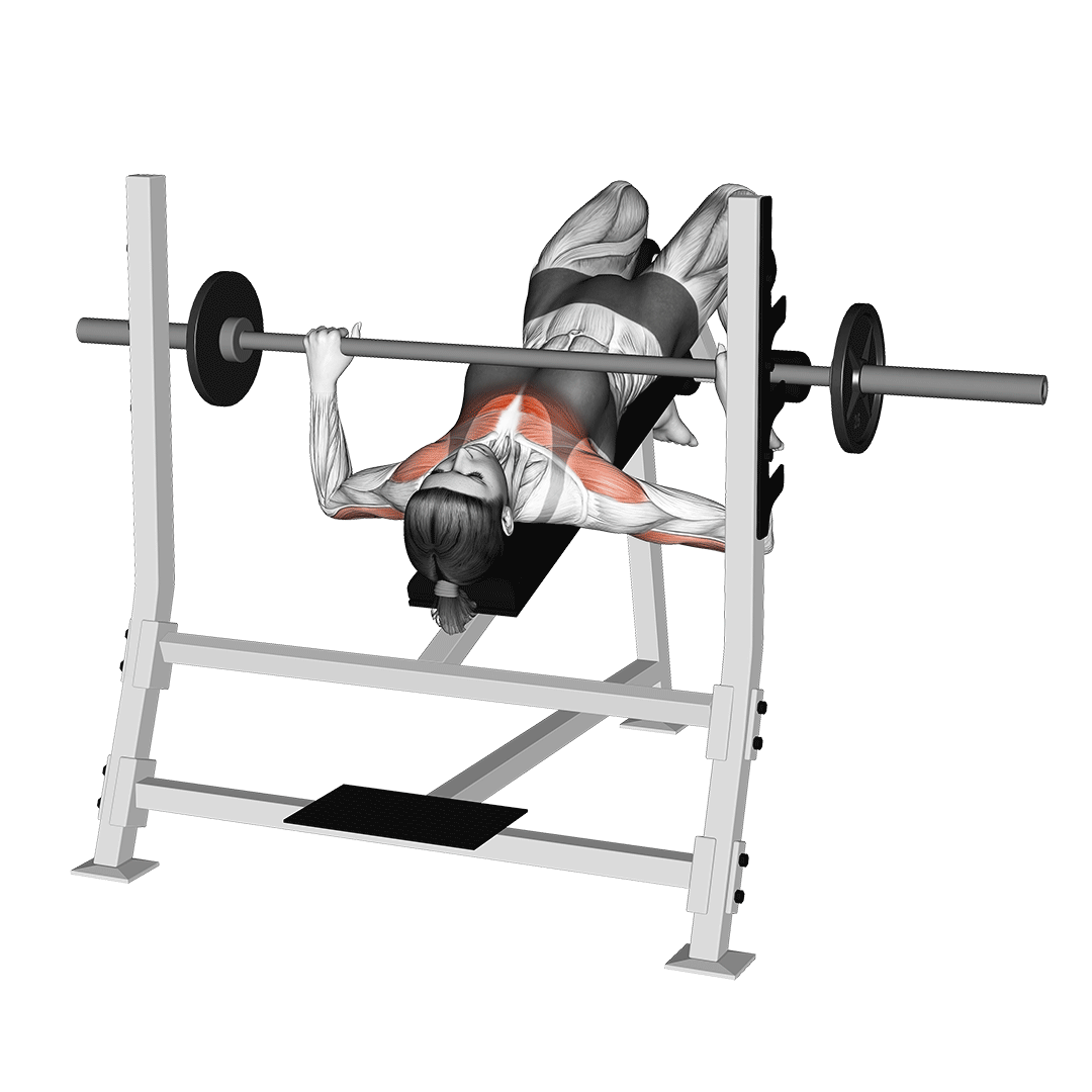 Decline Dumbbell Press