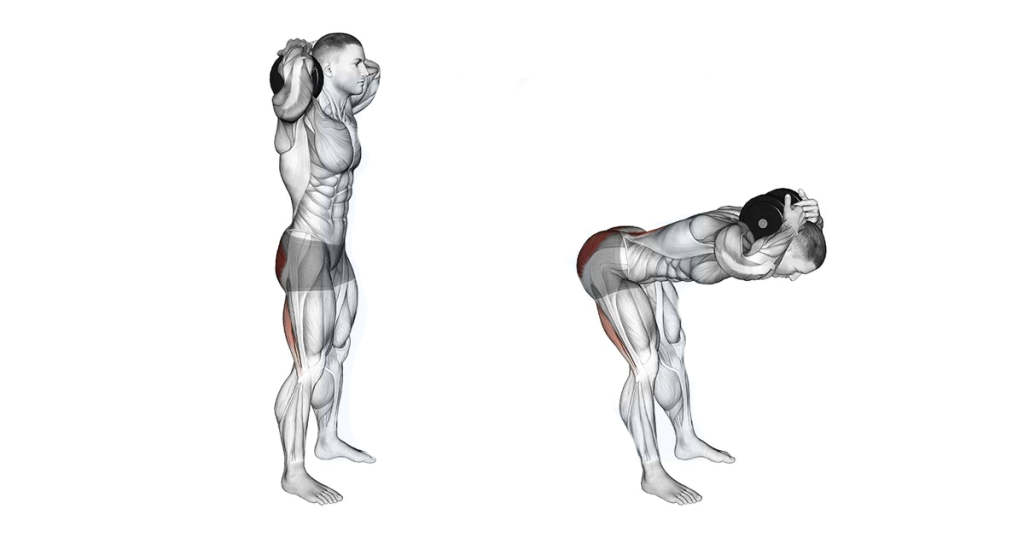 Dumbbell Good Mornings