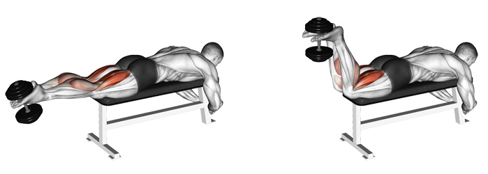 Dumbbell Leg Curl