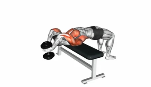 Dumbbell Pullovers