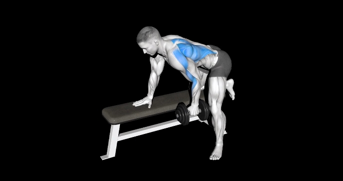 Dumbbell Row