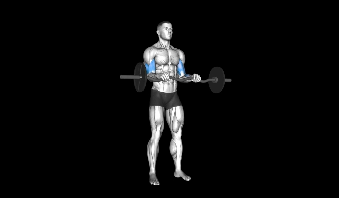 EZ Bar Reverse Curl