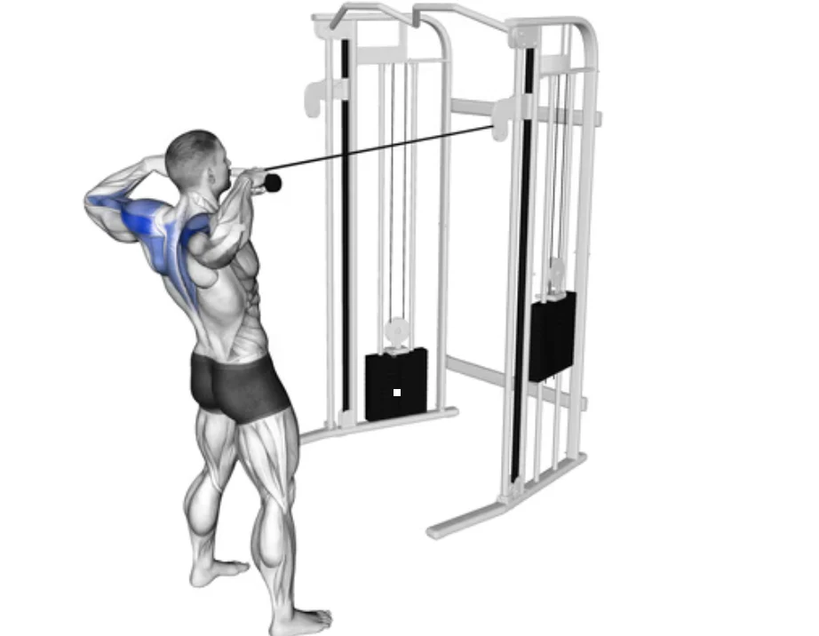Face Pulls
